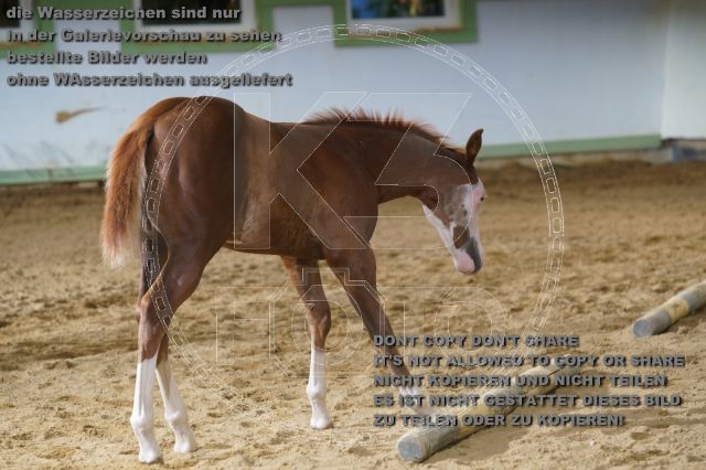 a_K3F03882.JPG